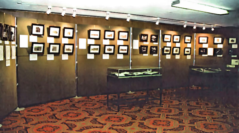 At Mitchell Library, Glasgow