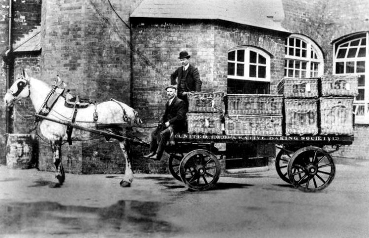 Horse and cart at UCBS bakery, 1917