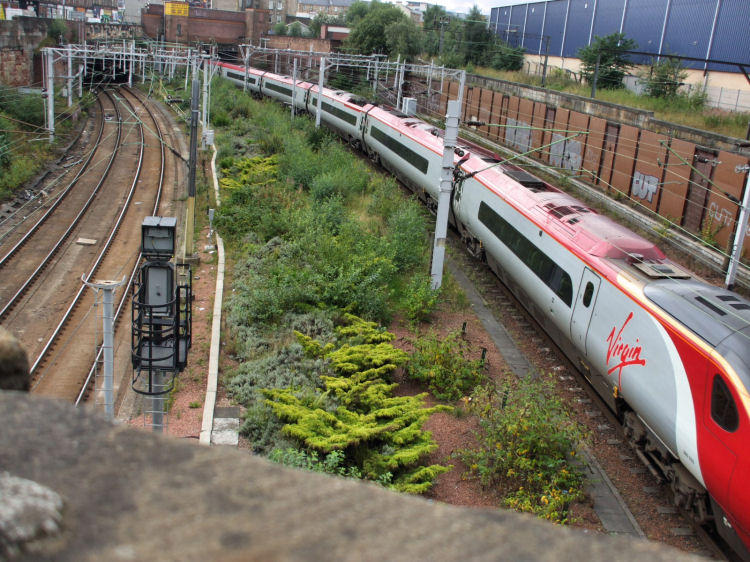Virgin train passing through the site of Eglinton Street Station en route to London