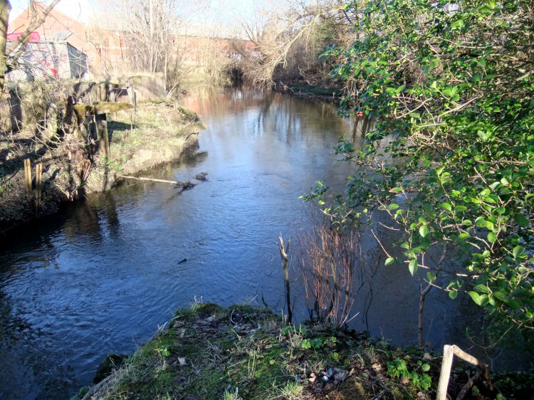 Confluence of Auldhouse Burn and White Cart Water