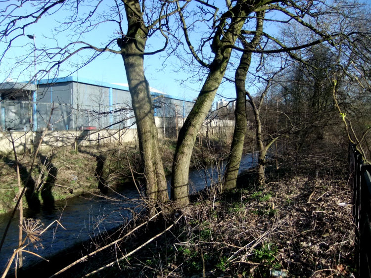 Pollokshaws and Auldhouse Illustrated Guide