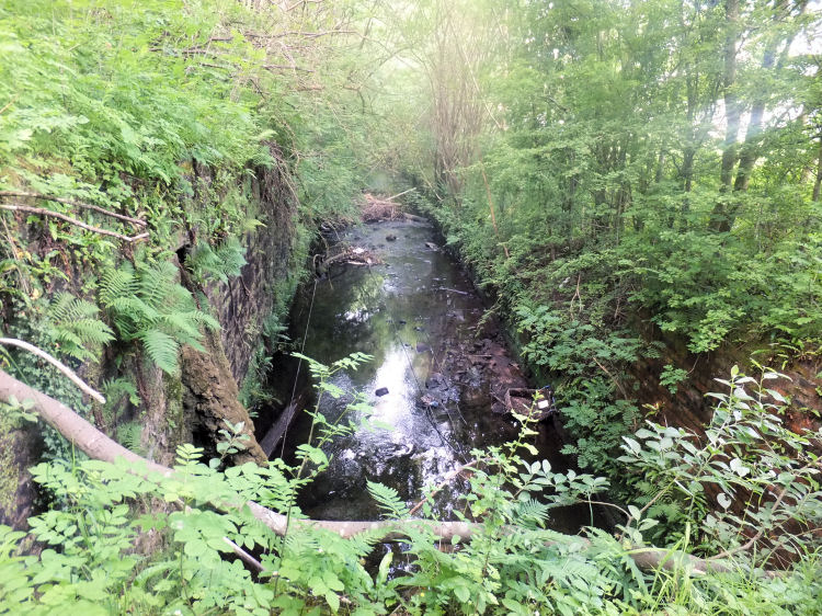 Straightened and canalised section of Auldhouse Burn at Thornliebank Print Works