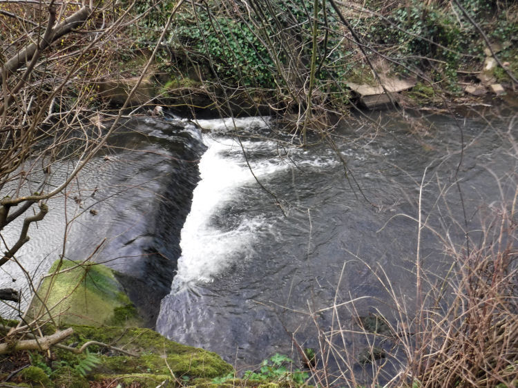 Little weir on Auldhouse Burn, a relic of former water powered mills