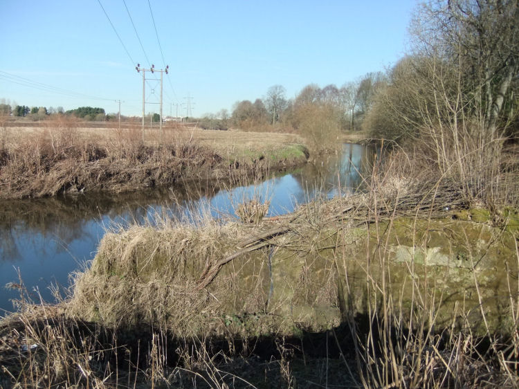 Looking back from Renfrewshire side of the stream entering White Cart Water at the city boundary