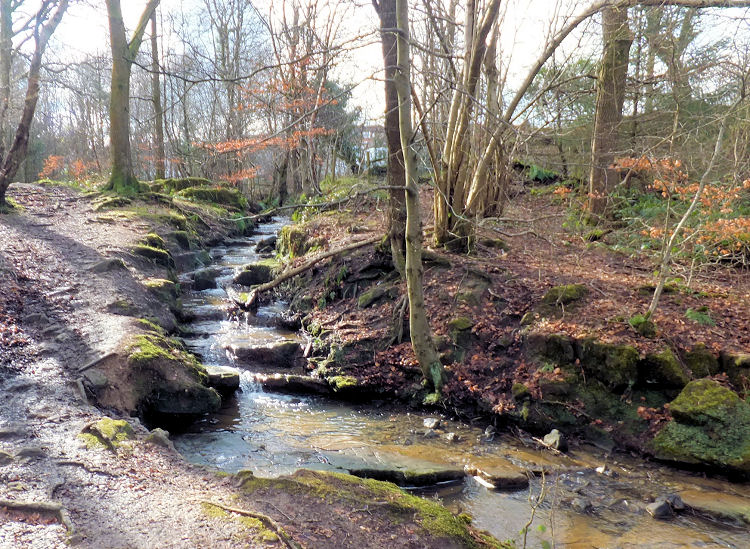 Weathered layers of naturally formed stone pavement in stream flowing through site of old quarry workings