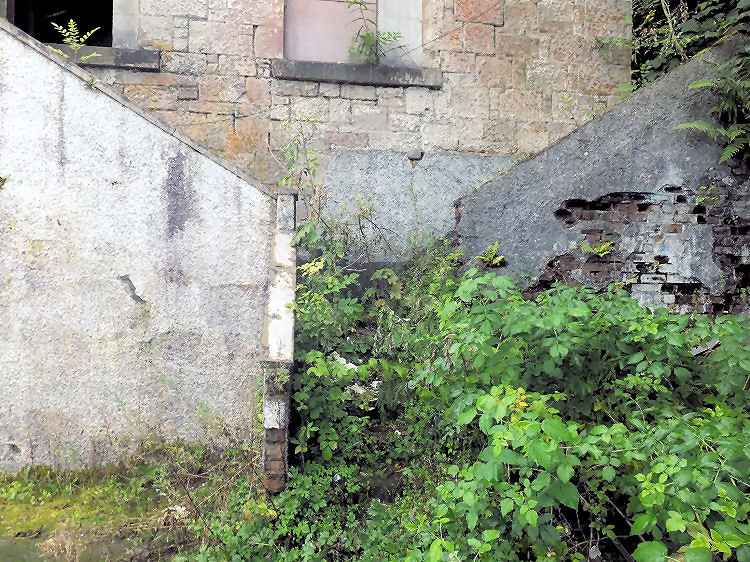 Overgrown staircase at entrance to Lower Mill, Busby 
