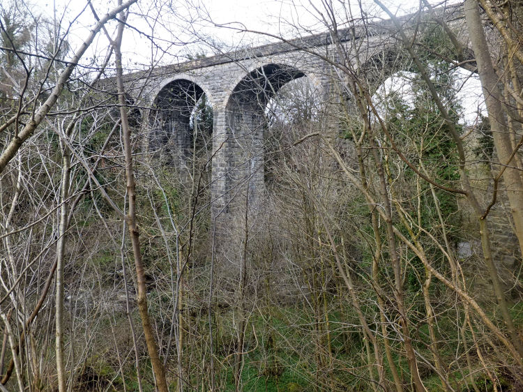 View of railway viaduct from the depths of Busby Glen