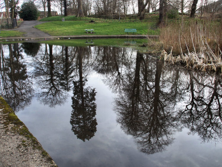 Reflections on Fish Pond at Castlemilk House