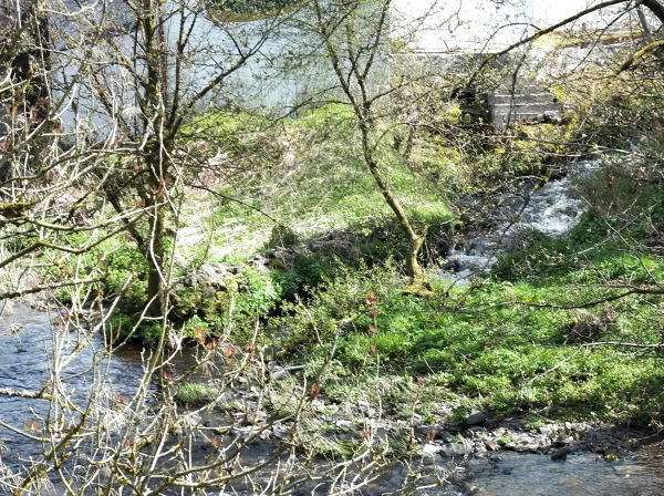 Outflow to White Cart Water at Dripps Mill, Waterfoot