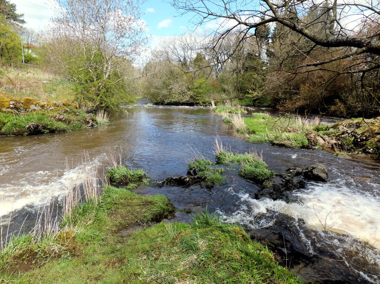 Confluence of Earn Water and White Cart Water at Waterfoot