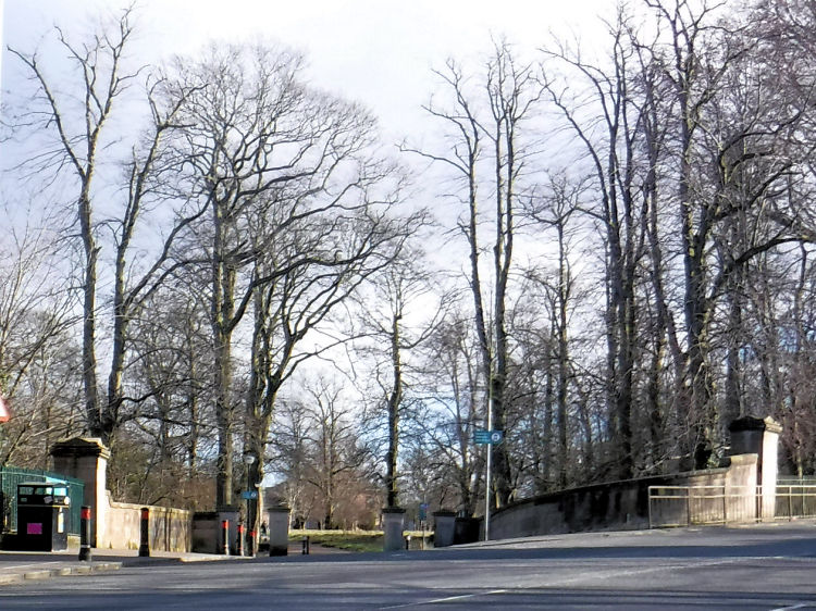 King's Park, Glasgow Origins and History