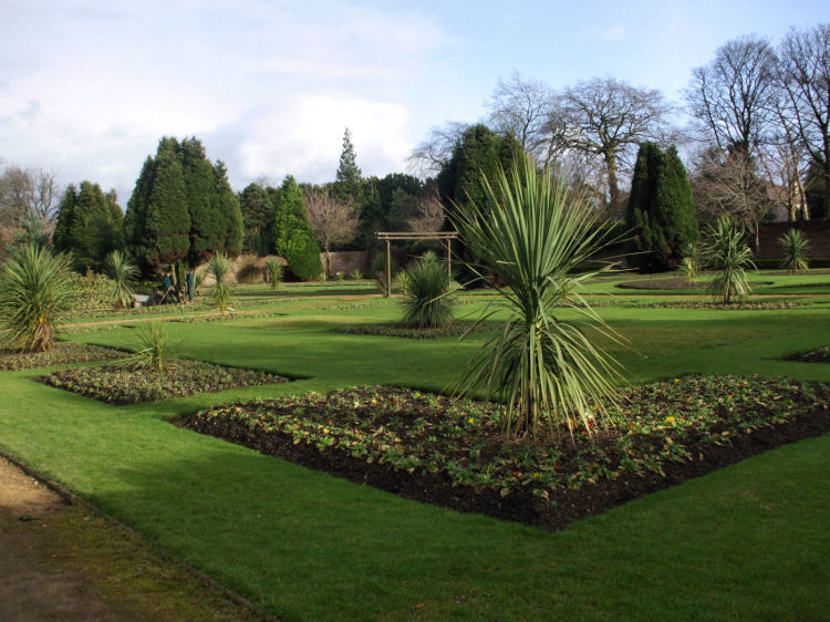 Ornamental plants in walled garden at Kings Park