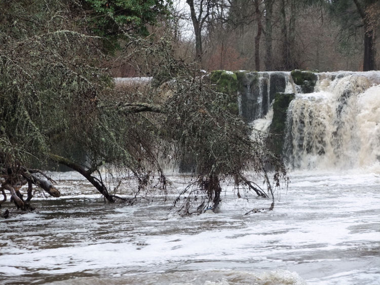 Winter view of Linn Falls swollen with meltwater