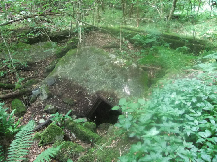 Ventilation shaft at abandoned coal pit in Linn Park