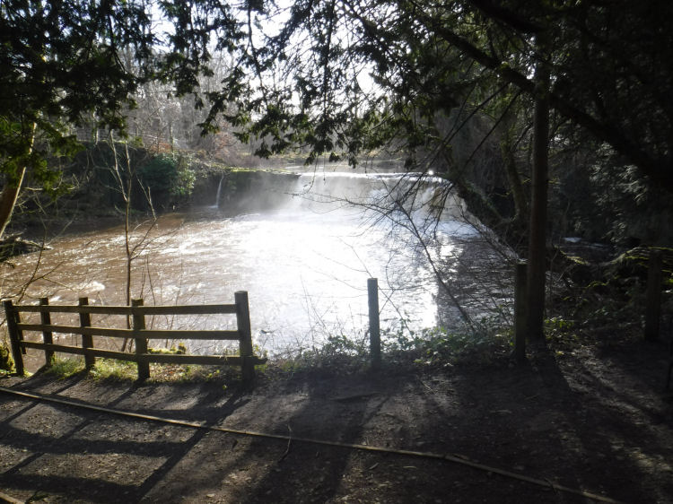 Sunlit view of Linn Falls from White Cart Walkway