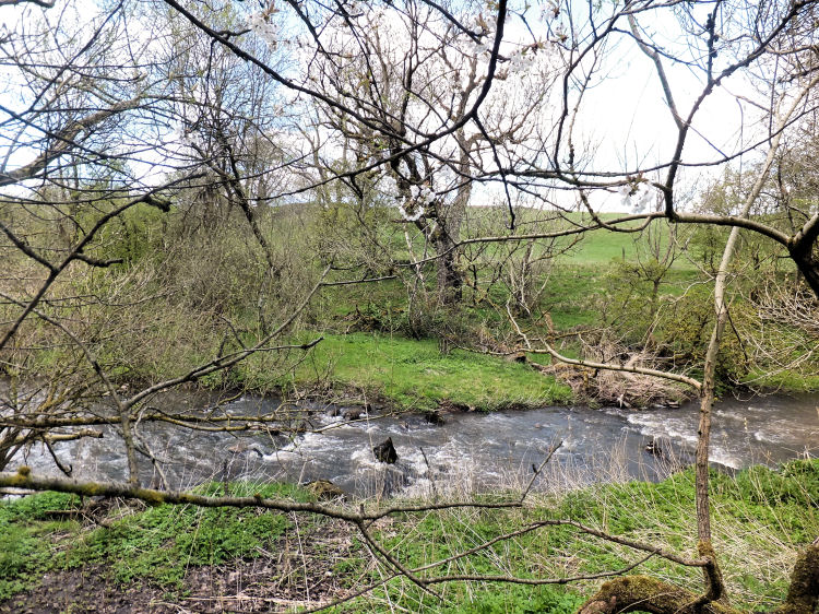 Site of Mearns Mill on Earn Water, close to confluence with White Cart Water