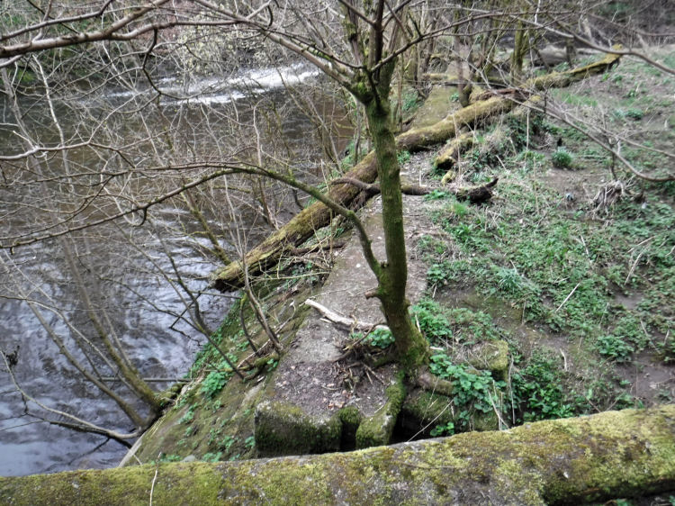 Surviving sections of boundary walls at Millholm, Cathcart