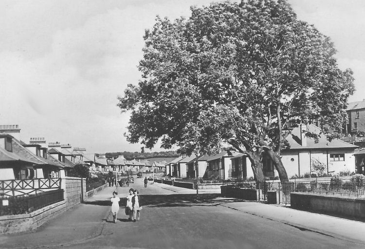itttle girls at new houses in Nethervale Avenue