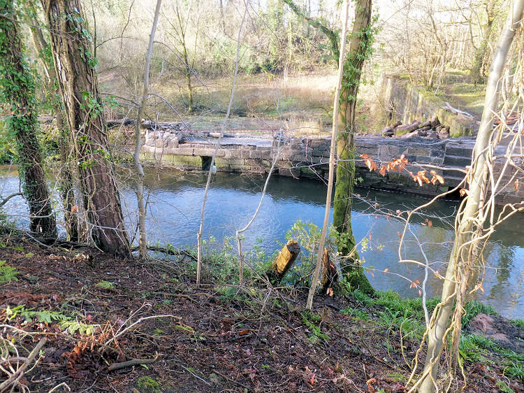 Surviving walls of Newfield Works, Rouken Glen