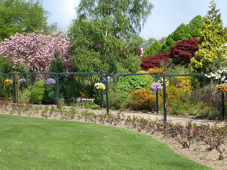 Arbour and spring foliage in Newlands Park