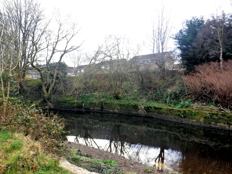 Site of Newlands Paper Mill from river bank
