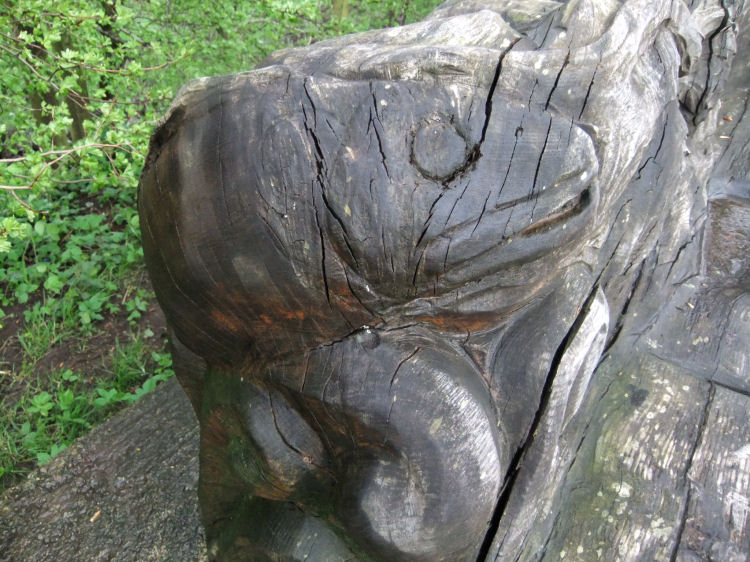 Fish head carved on rain-soaked park bench on riverside path