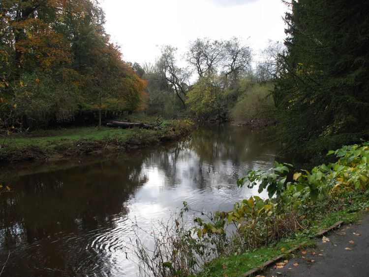 Slow moving stretch of White Cart Water at Pollok Country Park