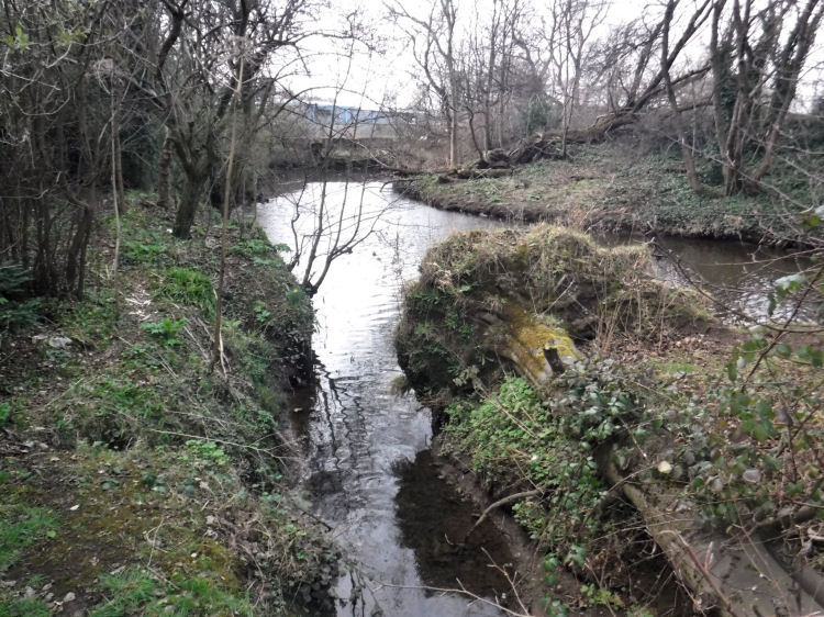 Stream entering White Cart Water at Auldhouse Park