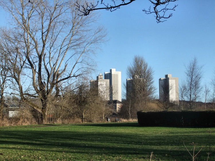 View of Pollokshaws tower blocks from Auldhouse Park