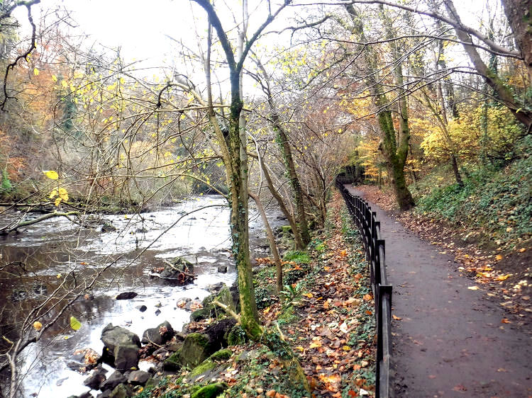 Present day view of riverside path, Linn Park