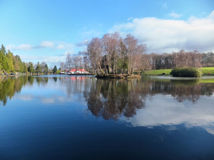 Pond at Rouken Glen, 2016