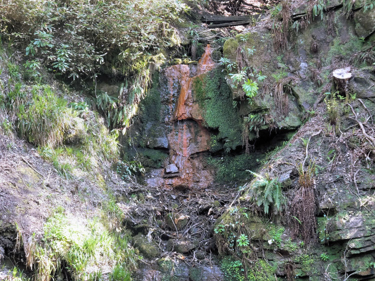 Iron rich rocks with rust coloured lichen on banks of Auldhouse Burn, Rouken Glen 