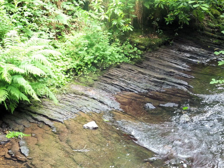 Thin layers of shale at edges of Auldhouse Burn, Rouken Glen
