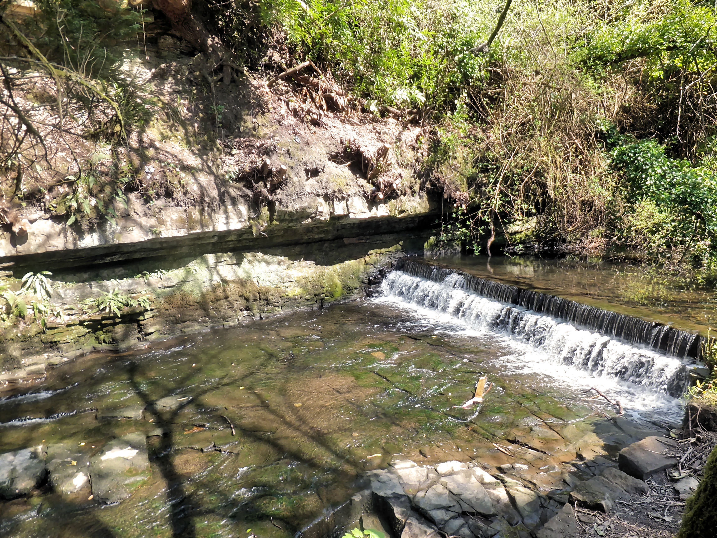 Weir and mill lade on approaches to site of Newfield Works, Rouken Glen