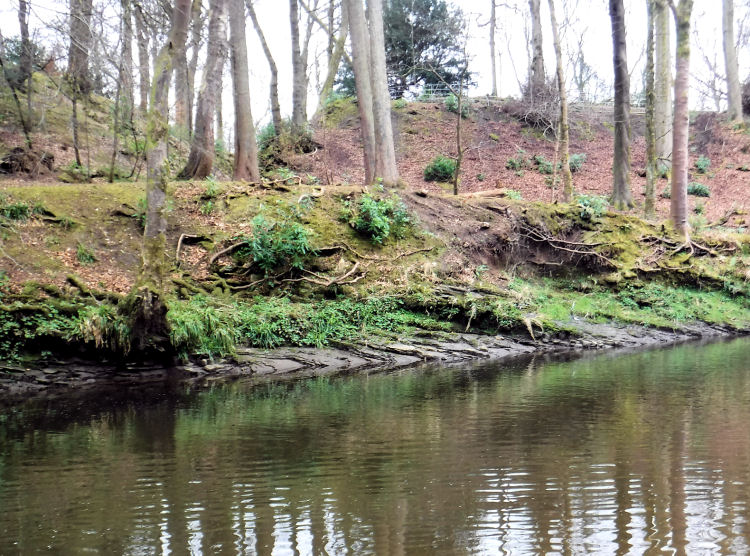 Thin layers of shale and sedimentary rock on banks of White Cart Water, Linn Park
