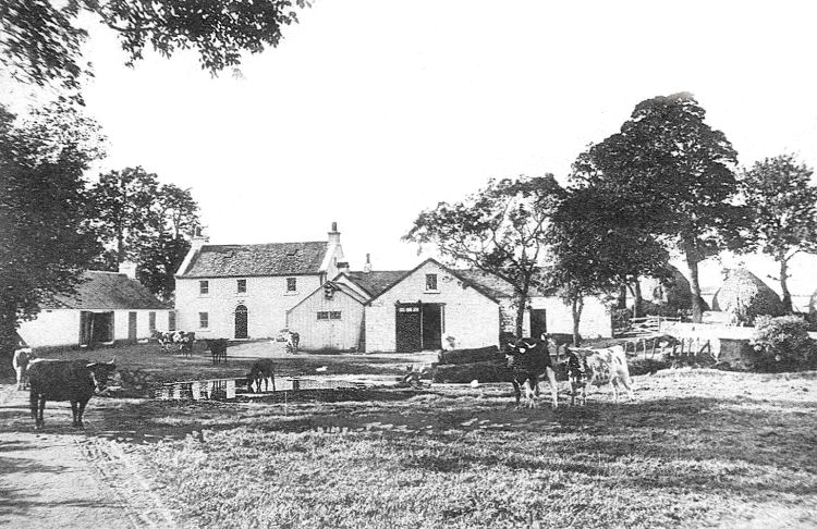Shaw Farm, Newton Mearns