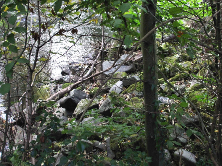 Stones from weir at White Cart Water