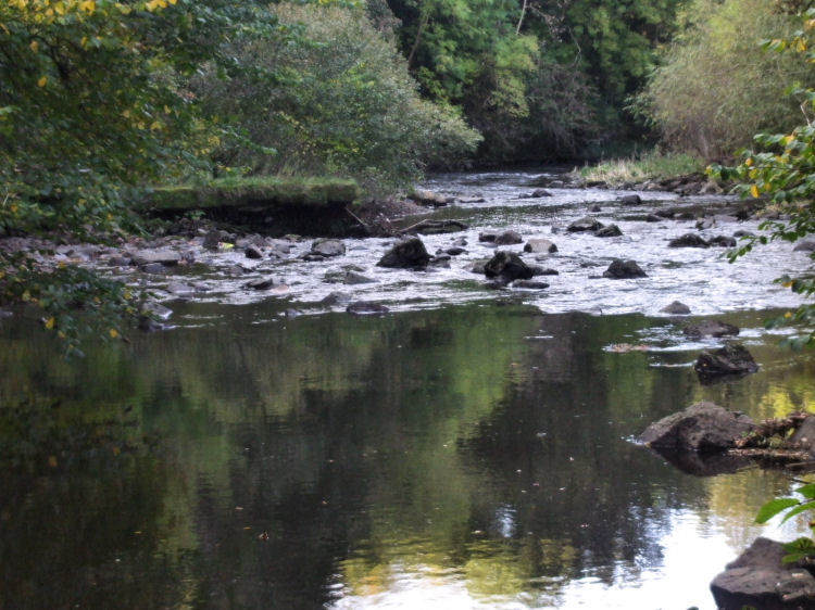 Stones from weir at White Cart Water