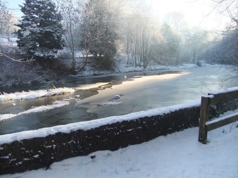 Frozen White Cart Water in midwinter