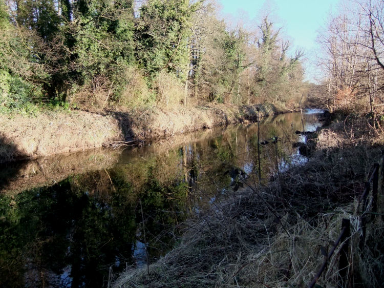 Reflections on  a calm White Cart Water, a short distance before the confluence with Levern Water