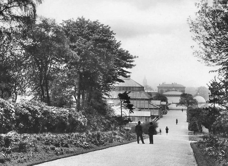 Gentlemen with suits  and bowler hats avoiding summer sunshine at Botanic Gardens