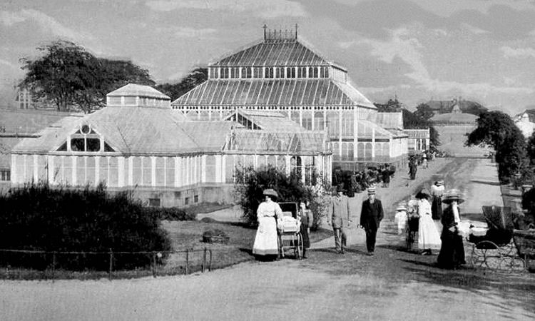 Edwardian ladies with babies in perambulators at Botanic Gardens