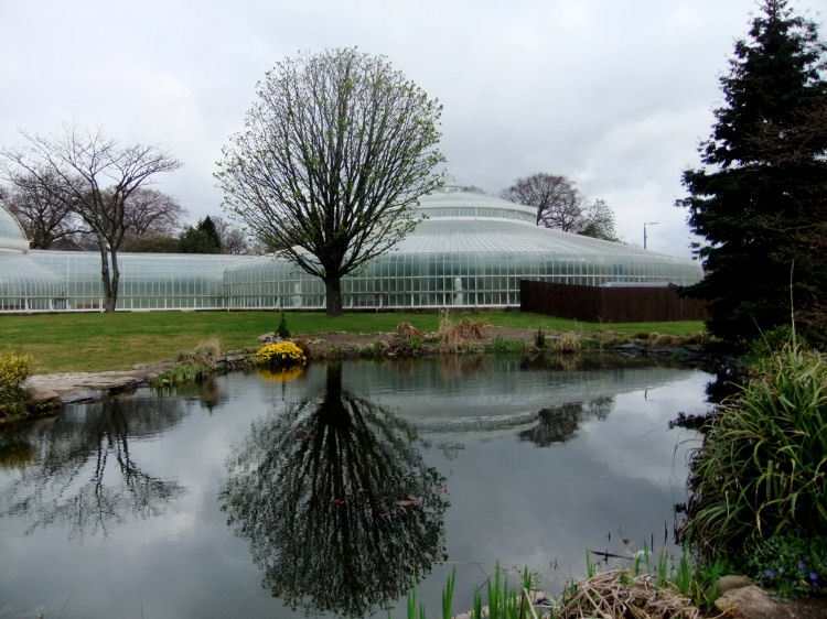 Reflection on pond at Botanic Gardens, Glasgow