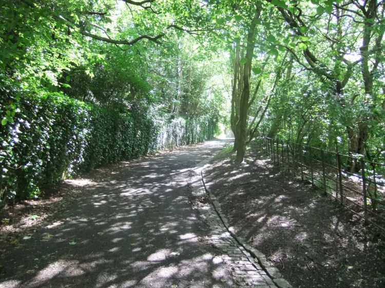 Path at Kelvin Walkway in summer sunshine