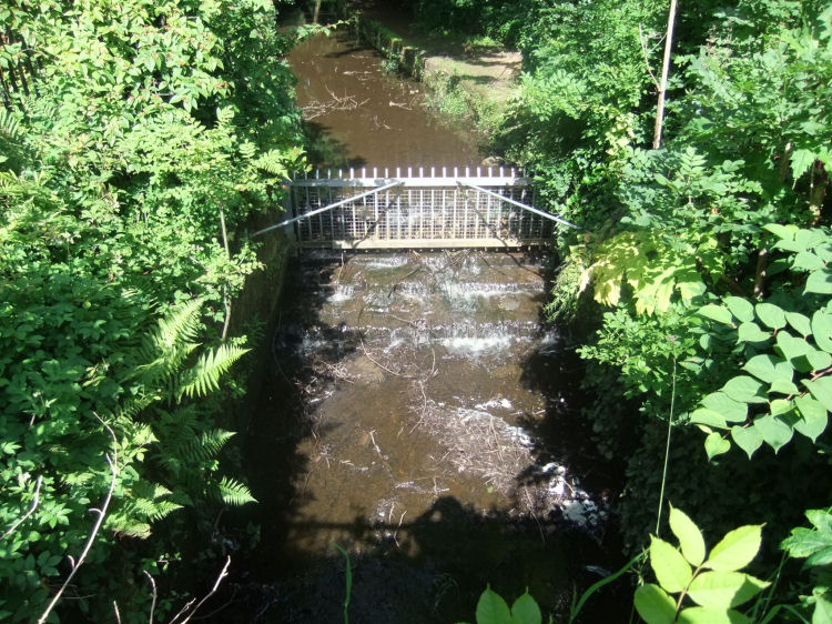 The sluice gate controlled the flow rates of the water being channelled in to drive the millwheels