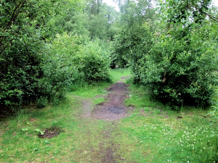 Path through North Kelvin Meadow